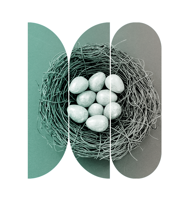 Une illustration qui informe les financeurs des avantages de myoptions en matière de diversification de placements